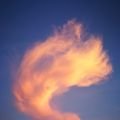 Alessandro - Psychologische Lebensberatung - Beruf & Arbeitsleben - Hellsehen und Wahrsagen - Tarot & Kartenlegen - Karmaberatung und Seelenpartnerschaften